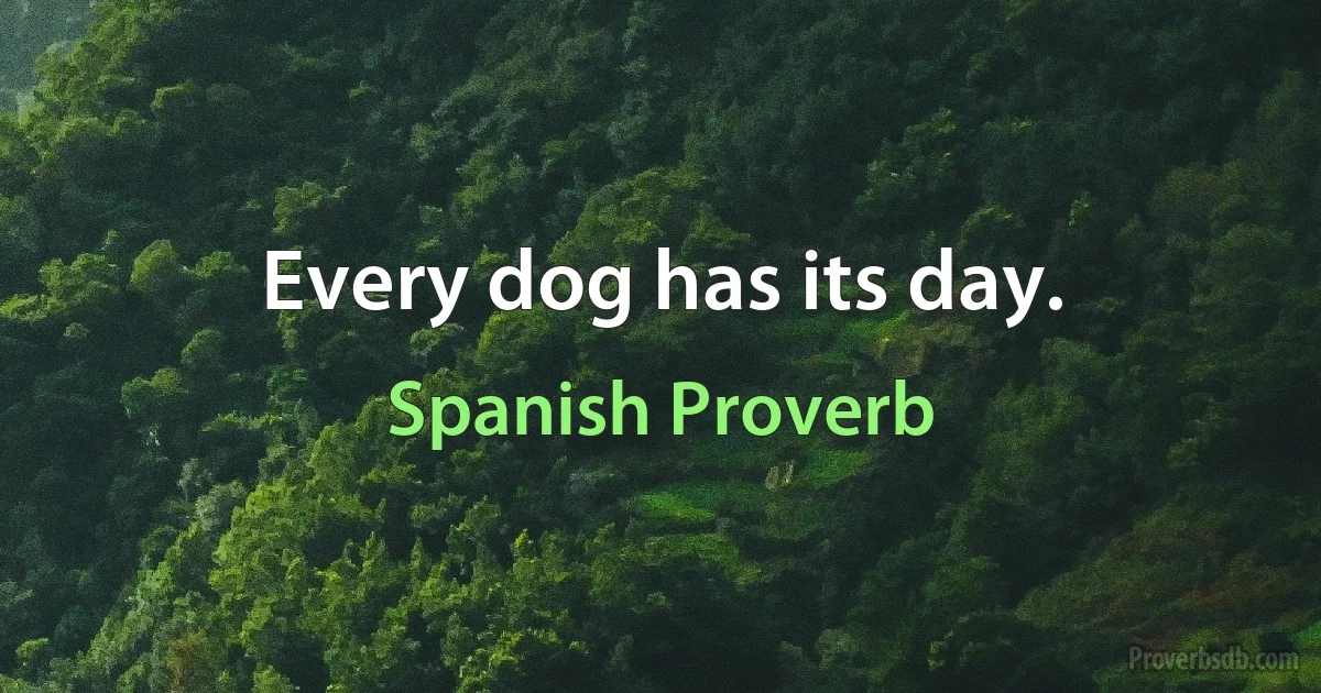 Every dog has its day. (Spanish Proverb)