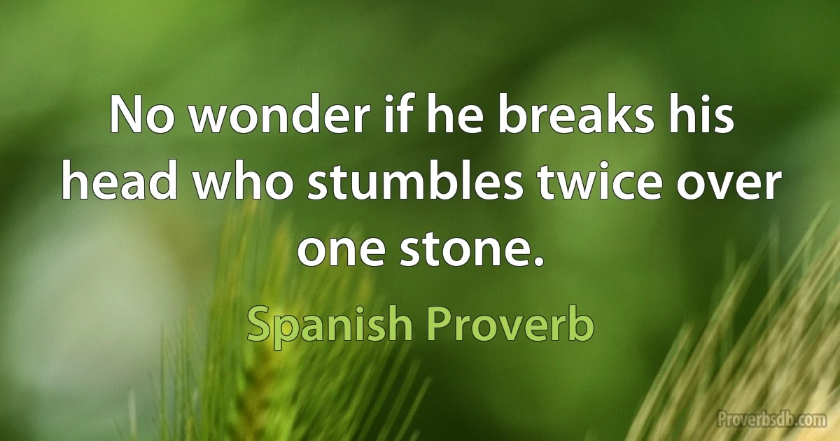 No wonder if he breaks his head who stumbles twice over one stone. (Spanish Proverb)