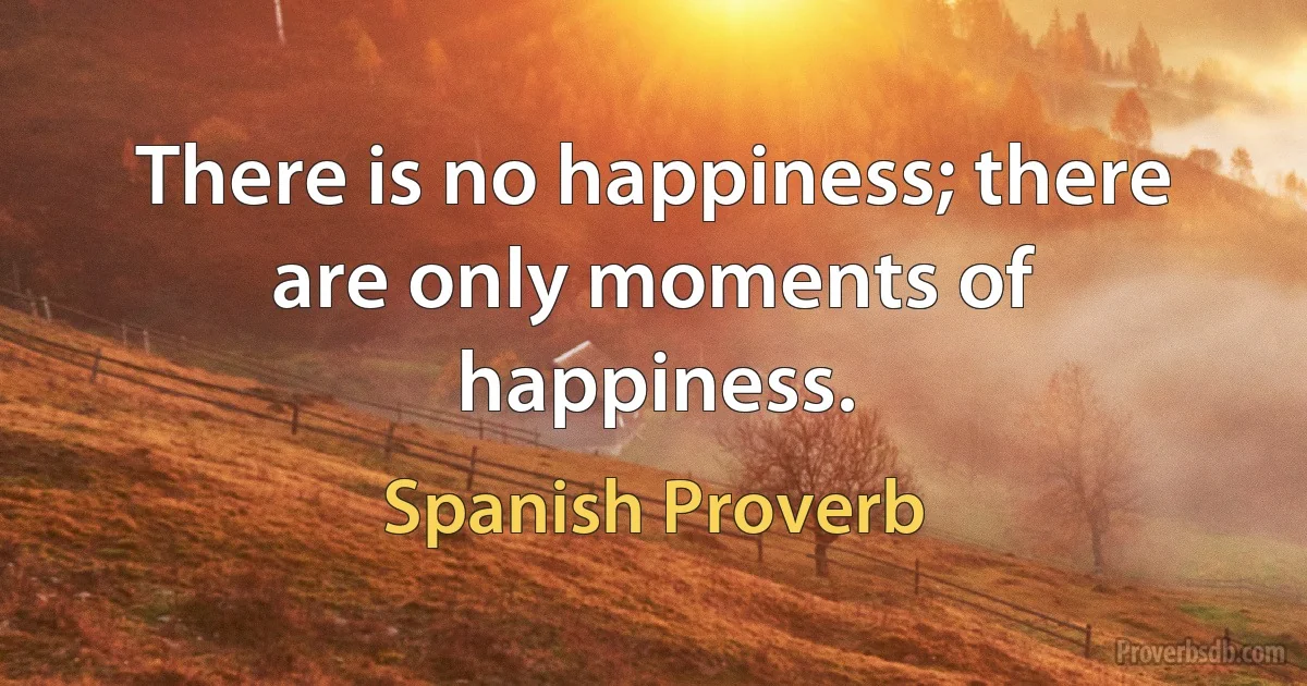 There is no happiness; there are only moments of happiness. (Spanish Proverb)