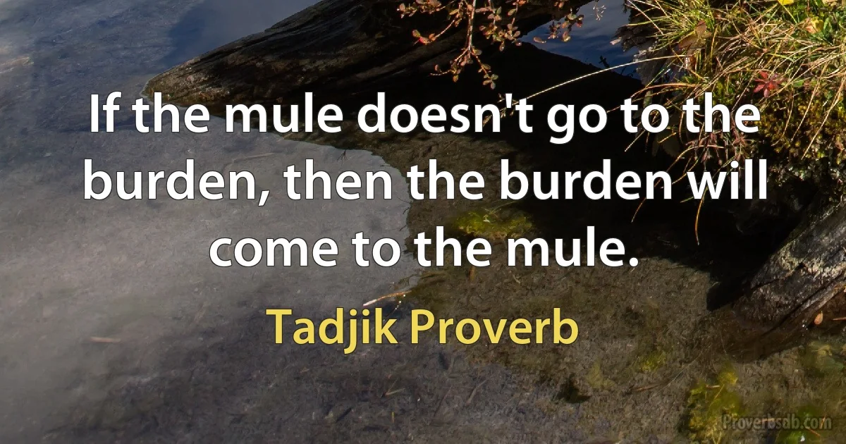 If the mule doesn't go to the burden, then the burden will come to the mule. (Tadjik Proverb)