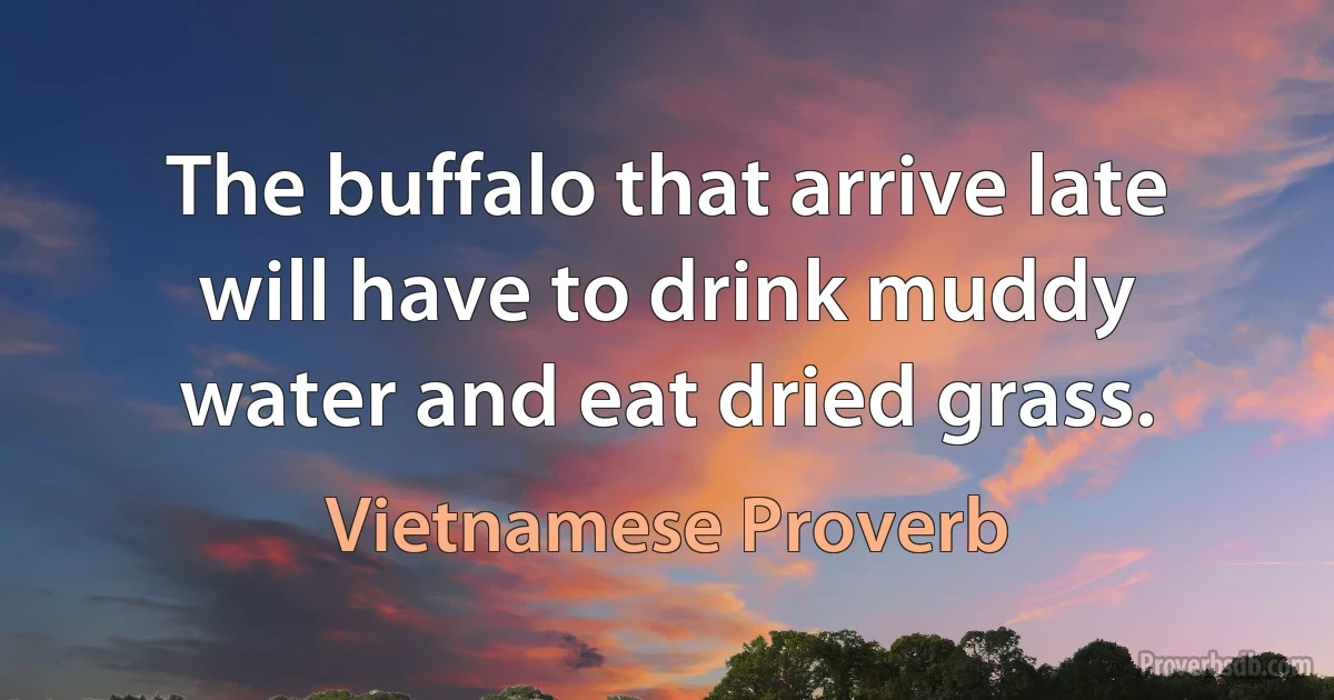 The buffalo that arrive late will have to drink muddy water and eat dried grass. (Vietnamese Proverb)