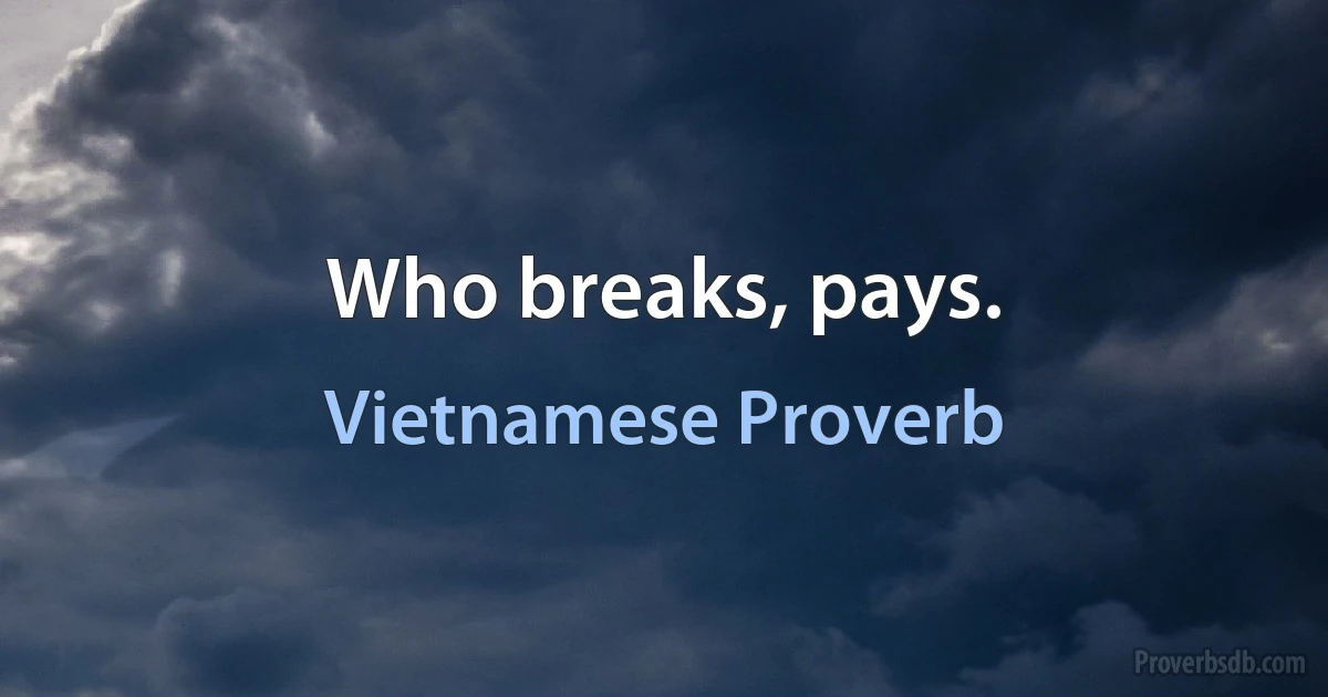 Who breaks, pays. (Vietnamese Proverb)