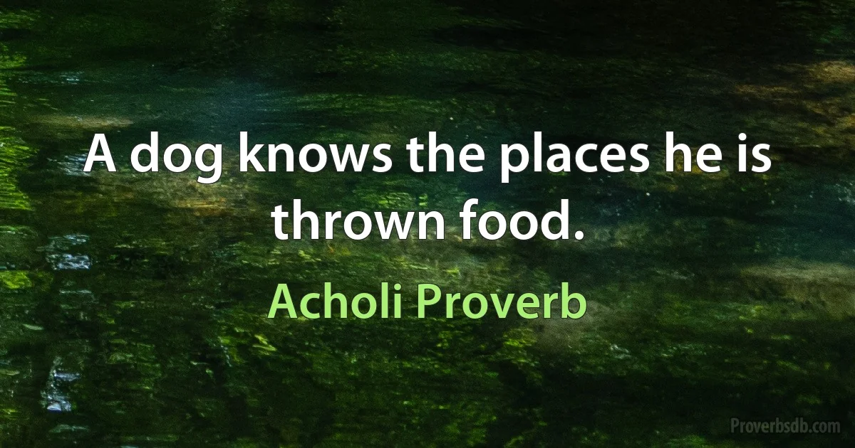 A dog knows the places he is thrown food. (Acholi Proverb)