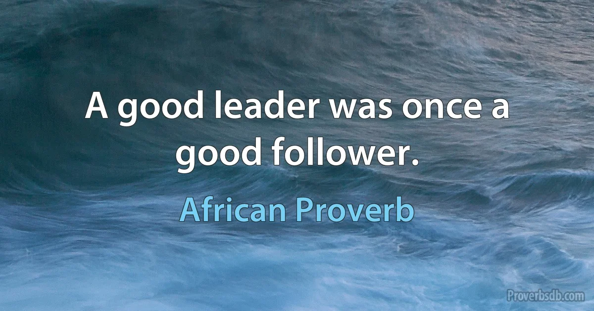 A good leader was once a good follower. (African Proverb)