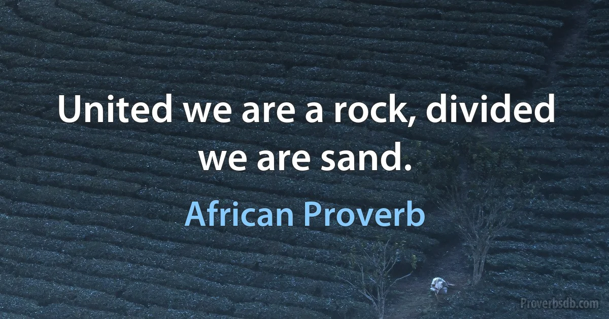 United we are a rock, divided we are sand. (African Proverb)