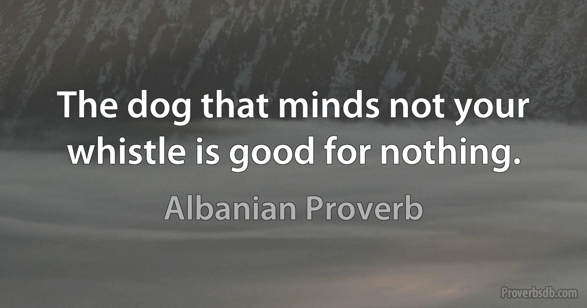 The dog that minds not your whistle is good for nothing. (Albanian Proverb)