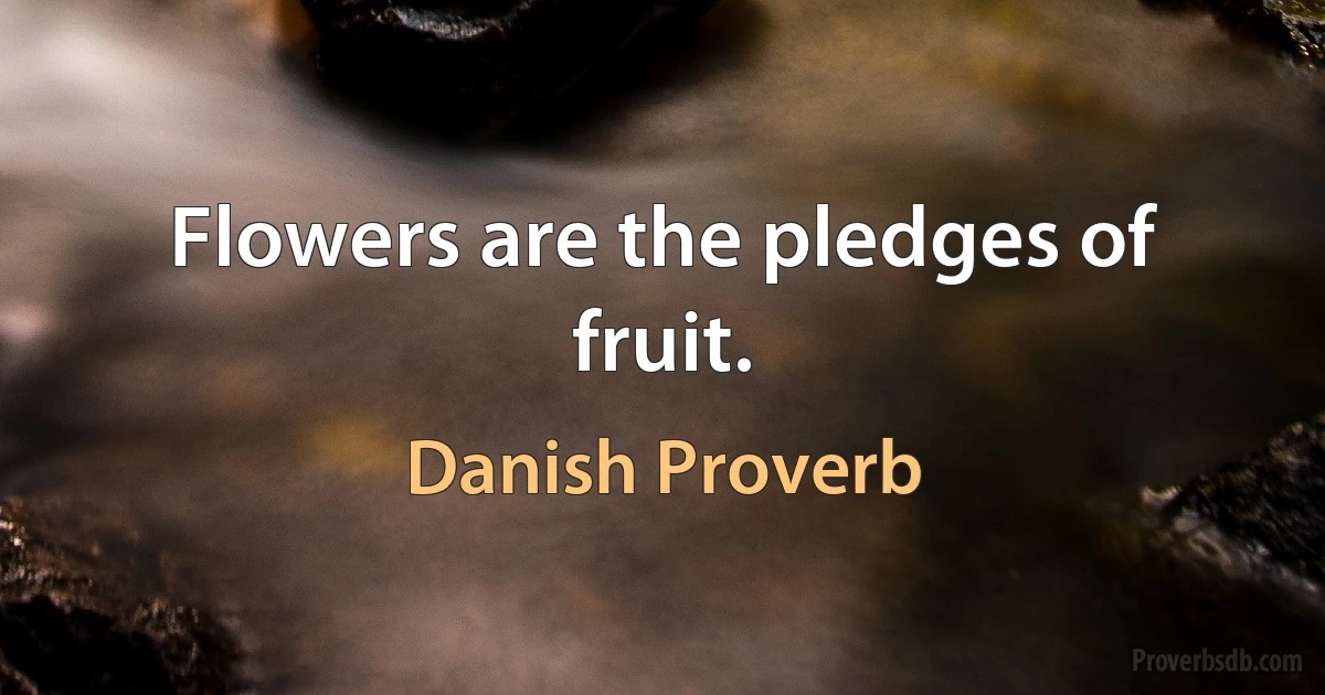 Flowers are the pledges of fruit. (Danish Proverb)