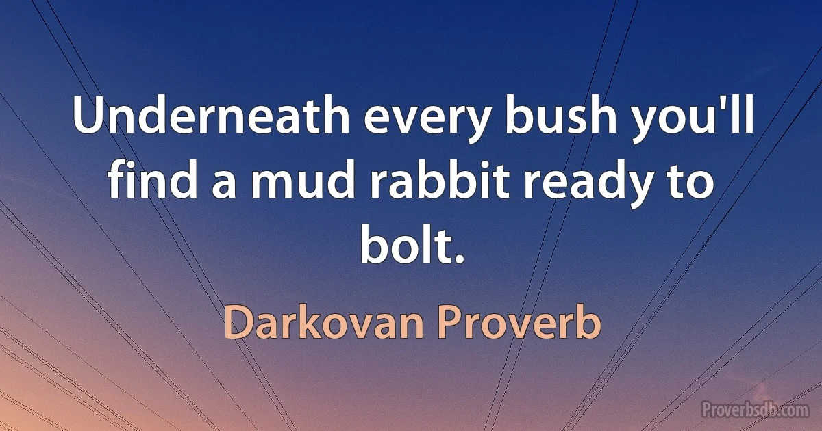 Underneath every bush you'll find a mud rabbit ready to bolt. (Darkovan Proverb)