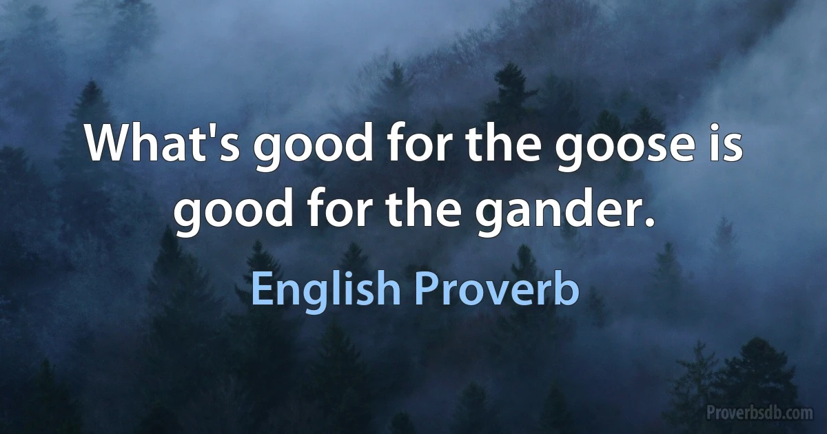 What's good for the goose is good for the gander. (English Proverb)