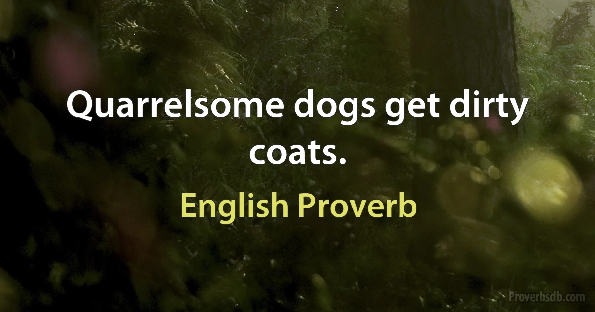 Quarrelsome dogs get dirty coats. (English Proverb)