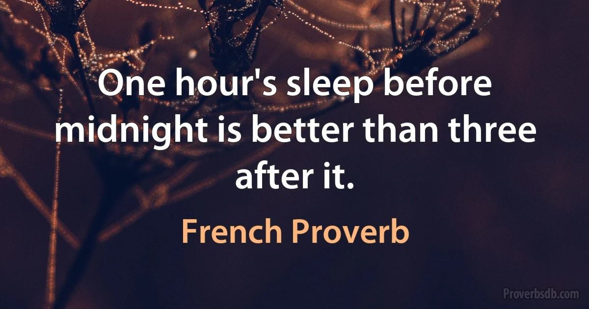 One hour's sleep before midnight is better than three after it. (French Proverb)