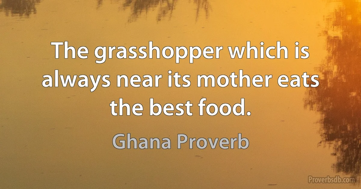 The grasshopper which is always near its mother eats the best food. (Ghana Proverb)