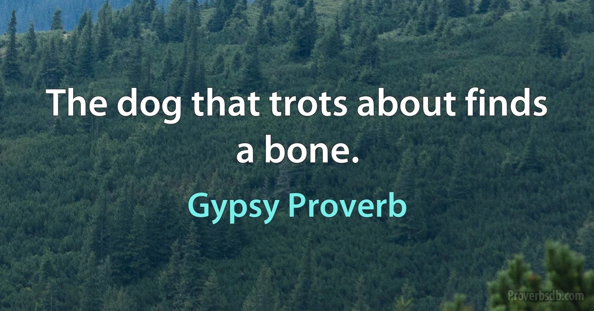 The dog that trots about finds a bone. (Gypsy Proverb)