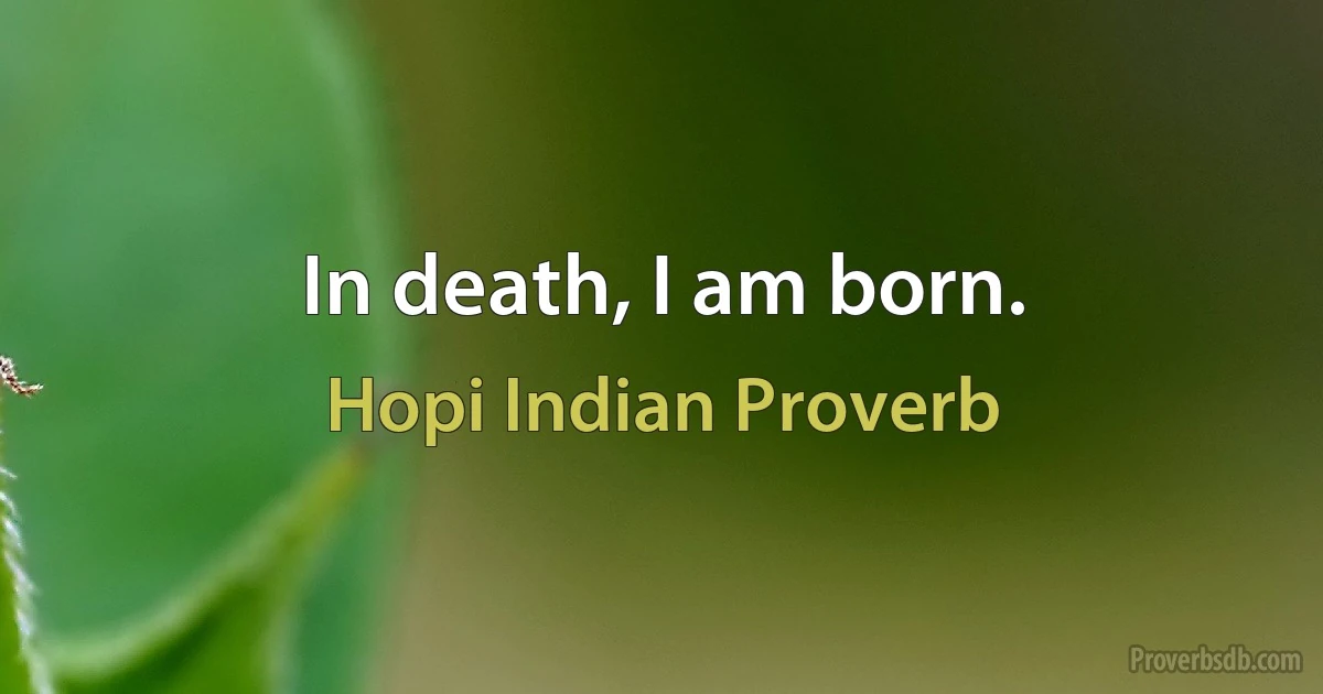 In death, I am born. (Hopi Indian Proverb)