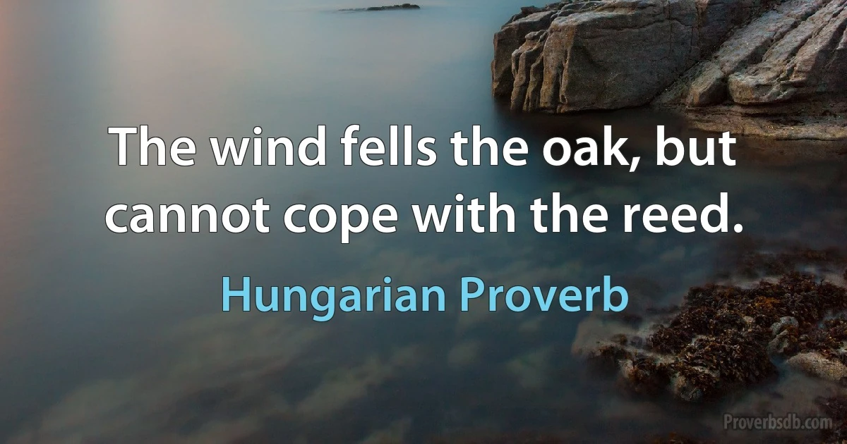 The wind fells the oak, but cannot cope with the reed. (Hungarian Proverb)