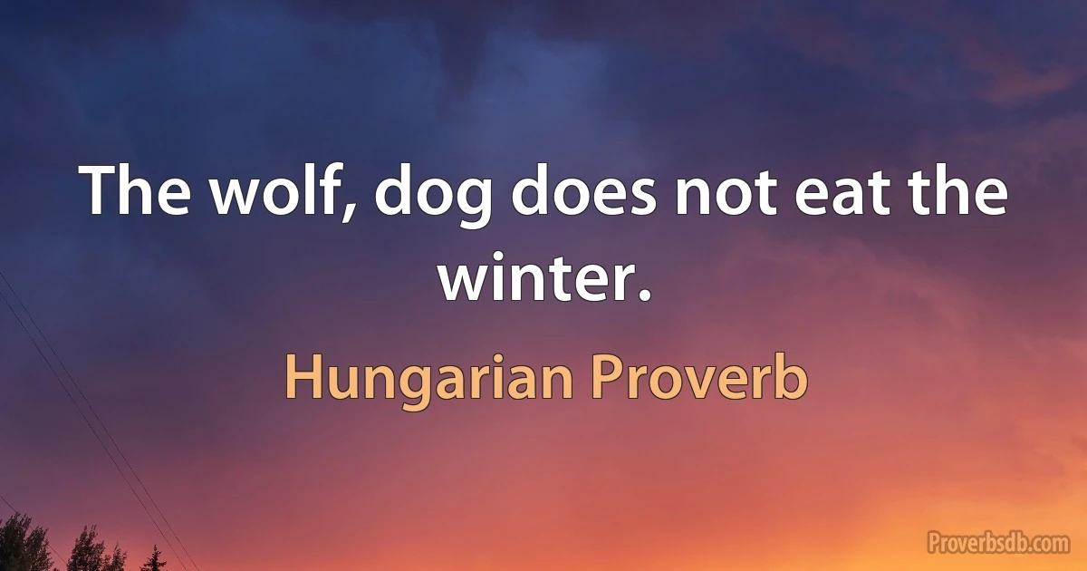 The wolf, dog does not eat the winter. (Hungarian Proverb)