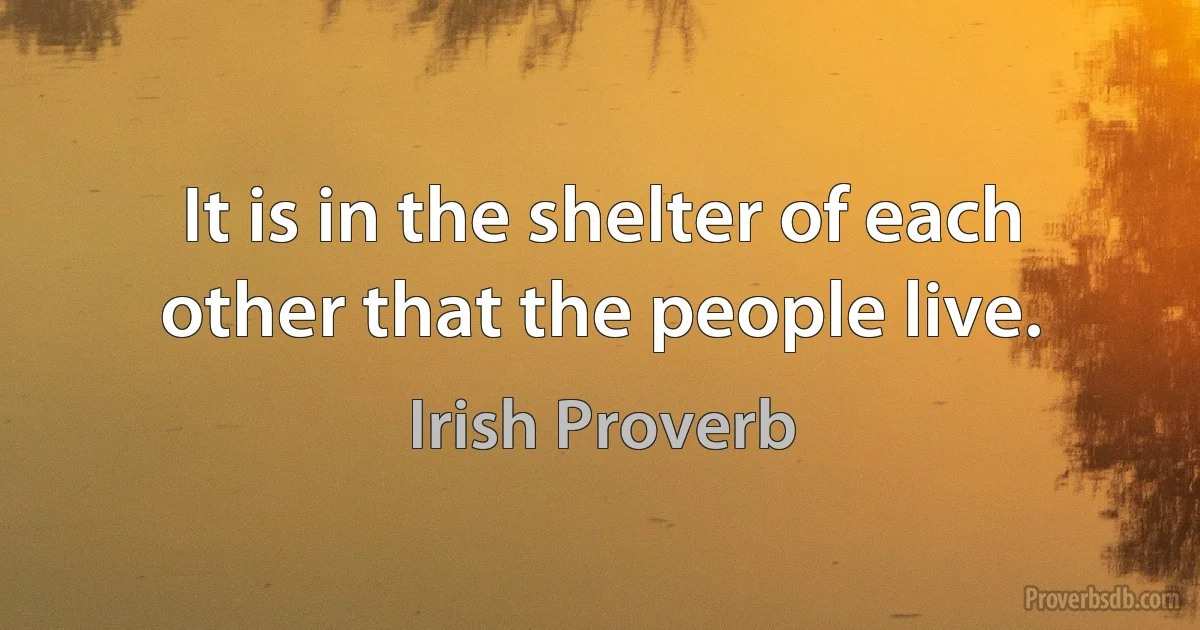 It is in the shelter of each other that the people live. (Irish Proverb)