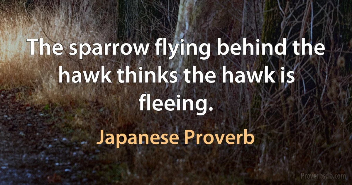 The sparrow flying behind the hawk thinks the hawk is fleeing. (Japanese Proverb)