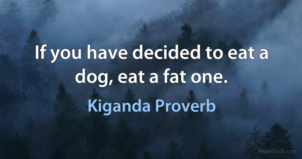 If you have decided to eat a dog, eat a fat one. (Kiganda Proverb)