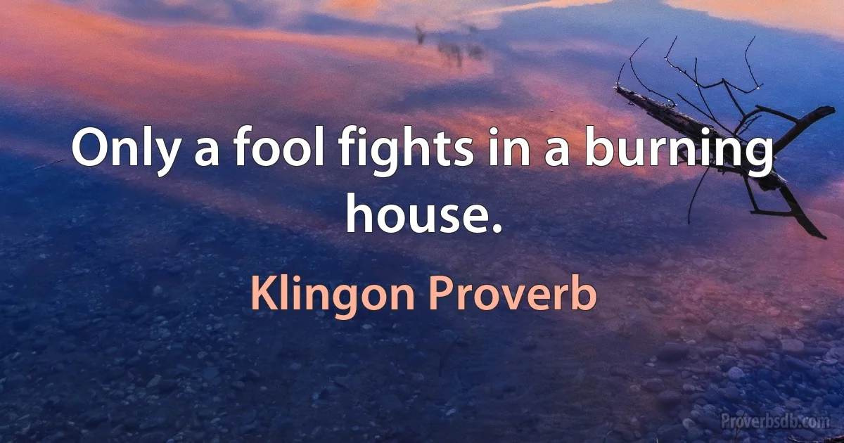 Only a fool fights in a burning house. (Klingon Proverb)