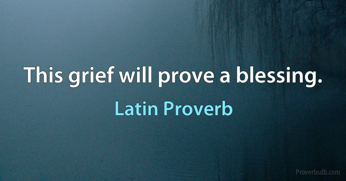 This grief will prove a blessing. (Latin Proverb)