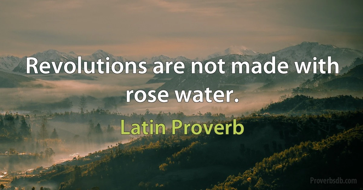 Revolutions are not made with rose water. (Latin Proverb)