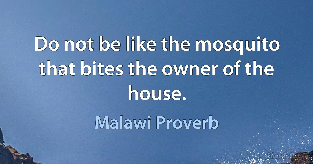 Do not be like the mosquito that bites the owner of the house. (Malawi Proverb)