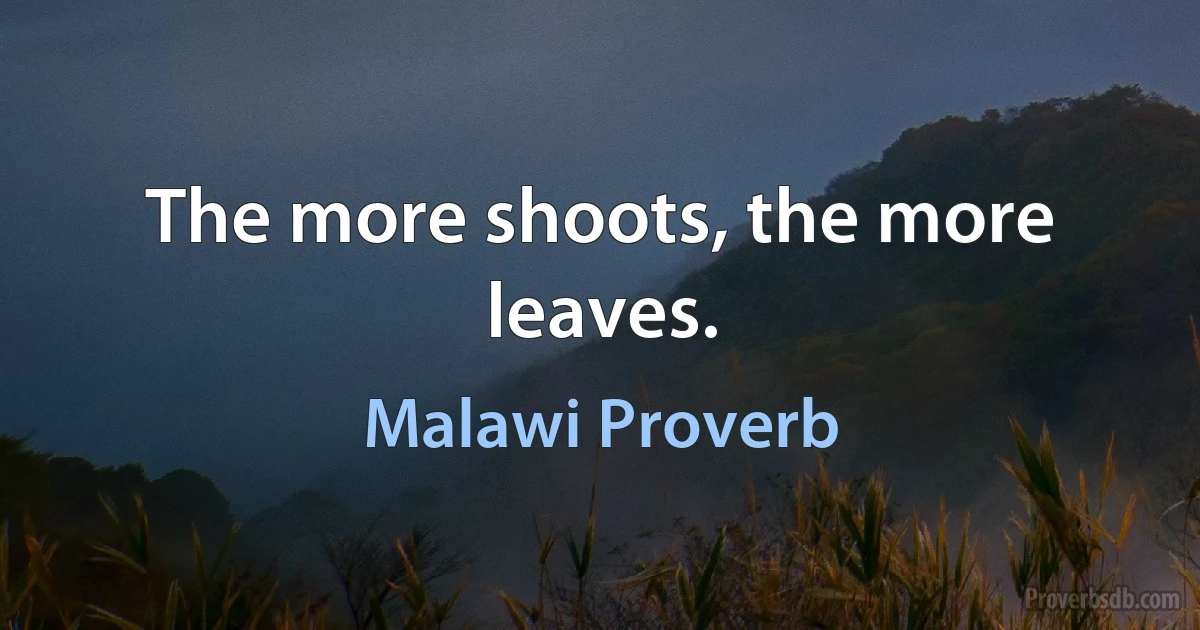 The more shoots, the more leaves. (Malawi Proverb)