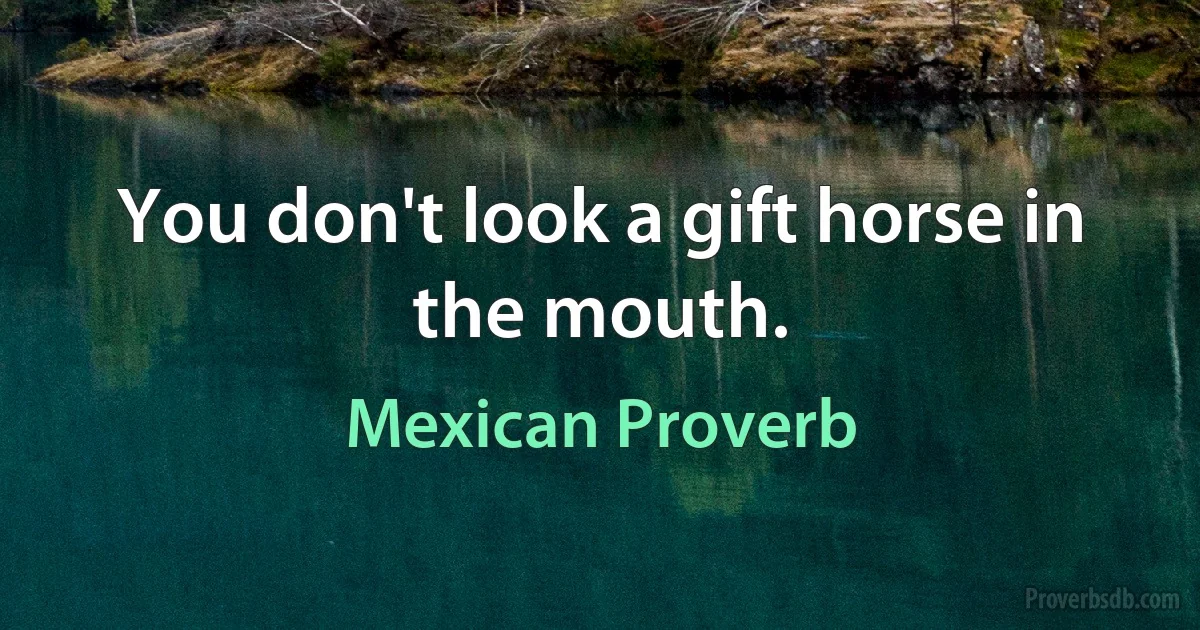 You don't look a gift horse in the mouth. (Mexican Proverb)