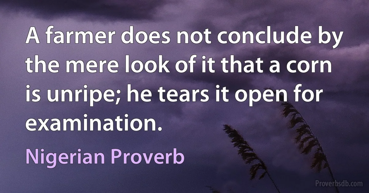 A farmer does not conclude by the mere look of it that a corn is unripe; he tears it open for examination. (Nigerian Proverb)