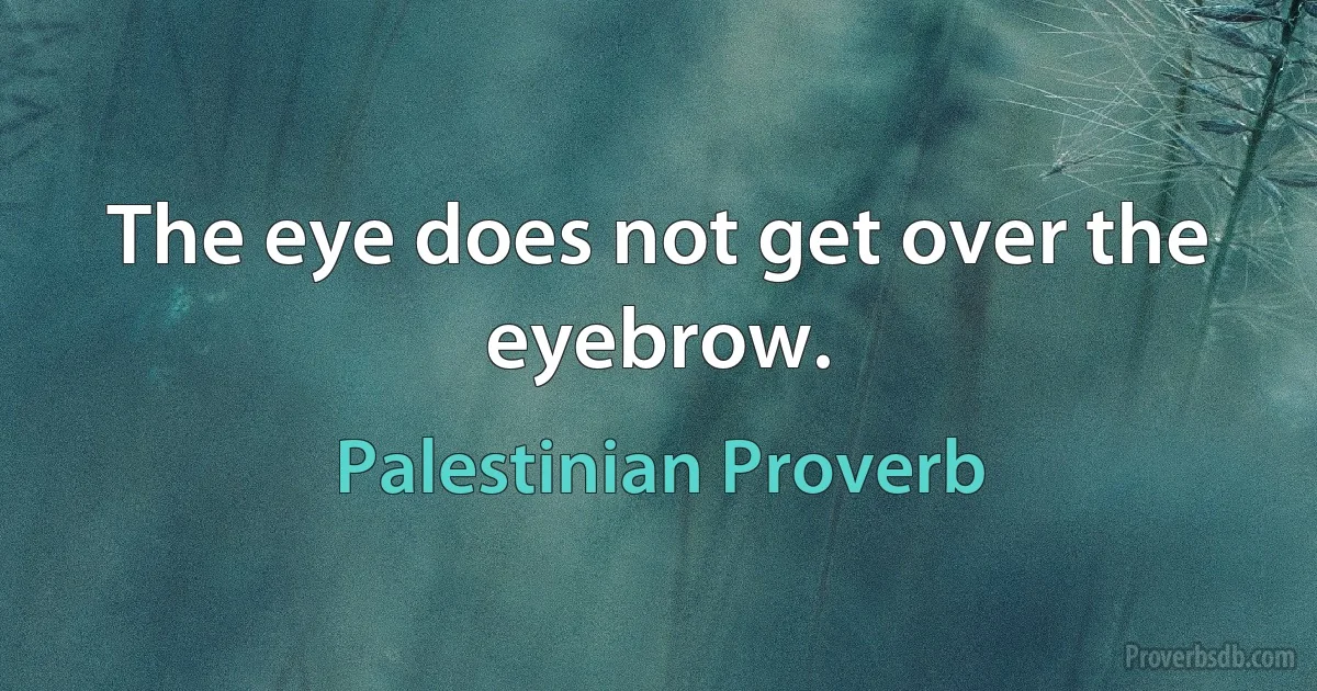 The eye does not get over the eyebrow. (Palestinian Proverb)