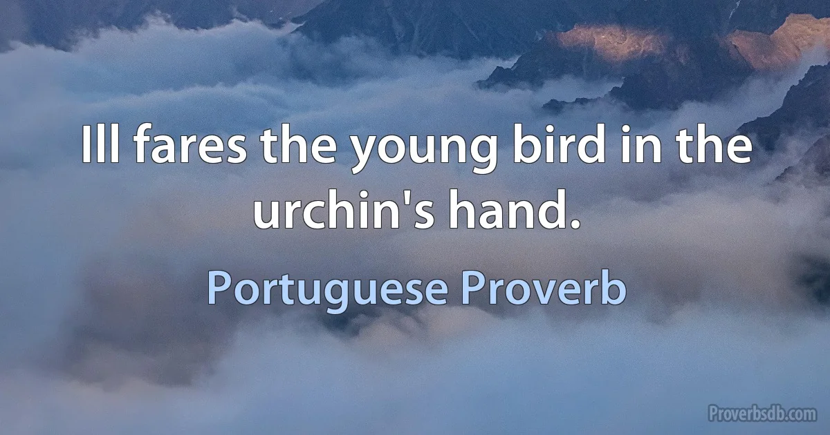 Ill fares the young bird in the urchin's hand. (Portuguese Proverb)