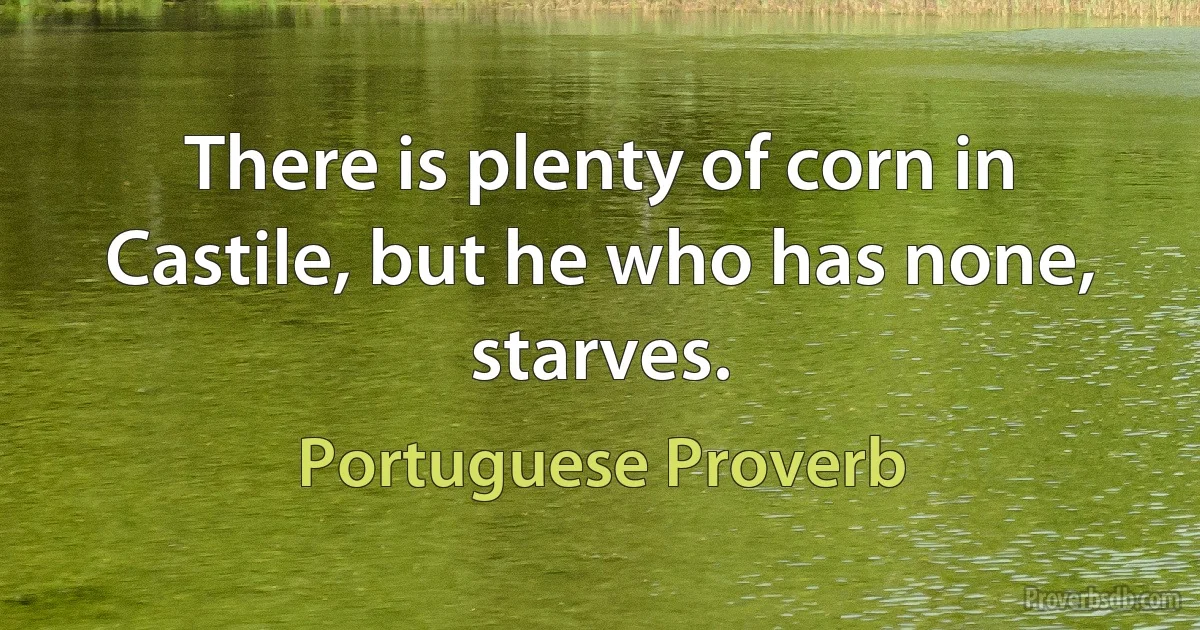 There is plenty of corn in Castile, but he who has none, starves. (Portuguese Proverb)