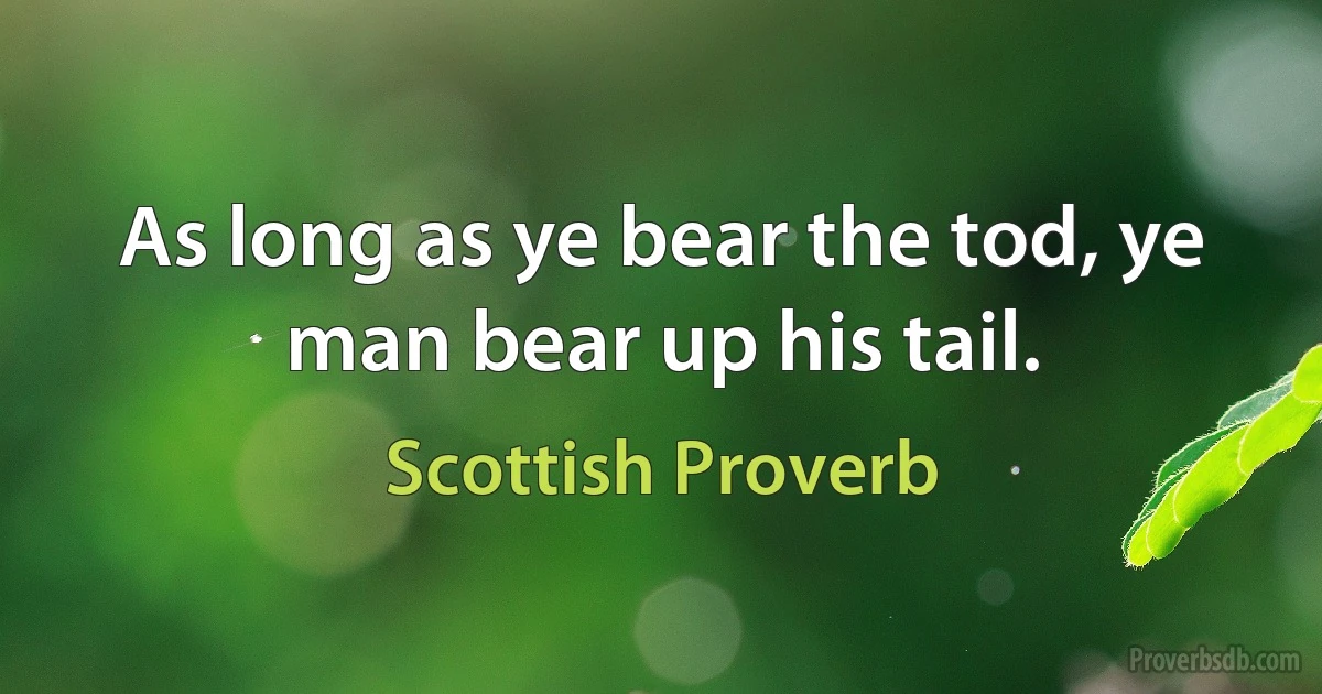 As long as ye bear the tod, ye man bear up his tail. (Scottish Proverb)