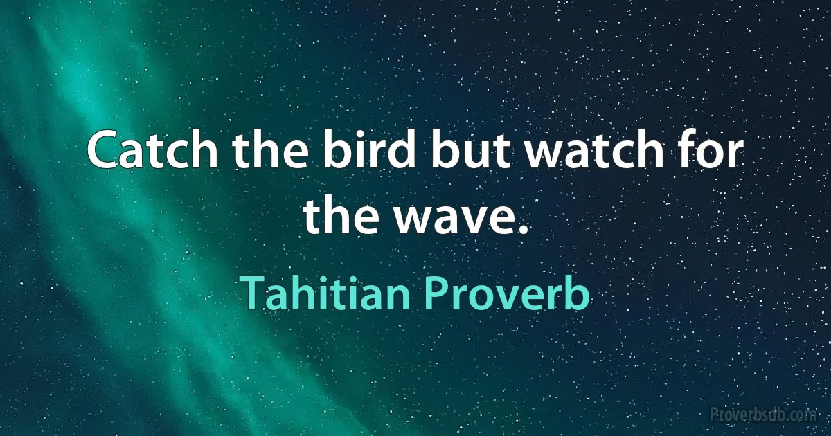 Catch the bird but watch for the wave. (Tahitian Proverb)