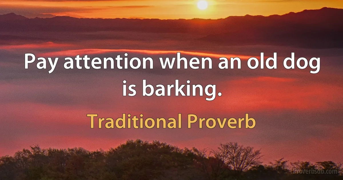 Pay attention when an old dog is barking. (Traditional Proverb)