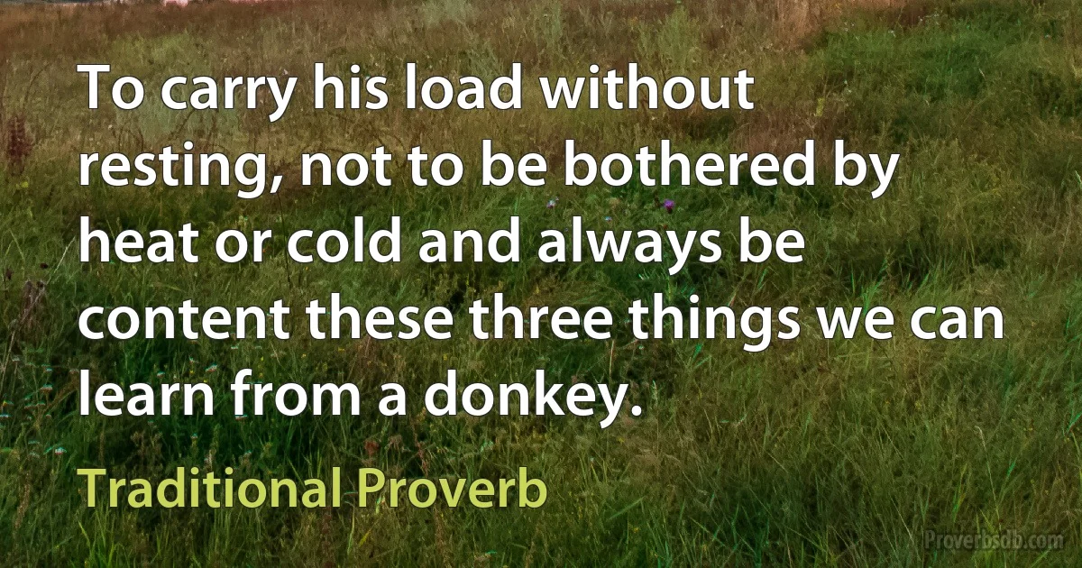 To carry his load without resting, not to be bothered by heat or cold and always be content these three things we can learn from a donkey. (Traditional Proverb)