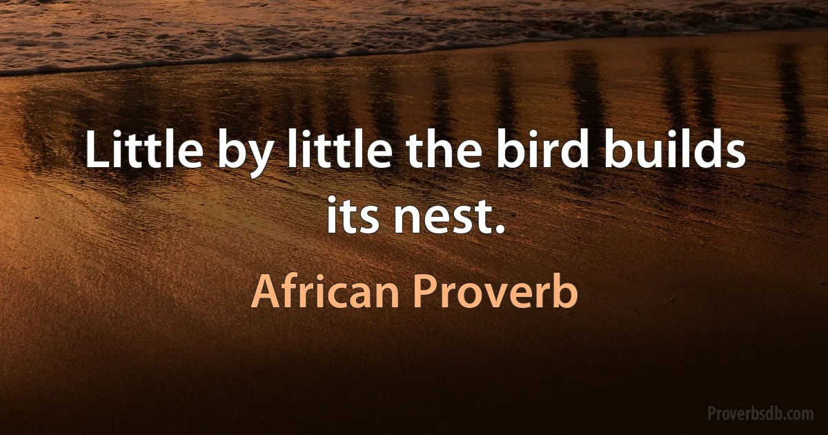 Little by little the bird builds its nest. (African Proverb)