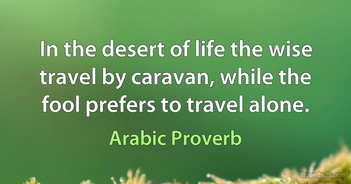 In the desert of life the wise travel by caravan, while the fool prefers to travel alone. (Arabic Proverb)