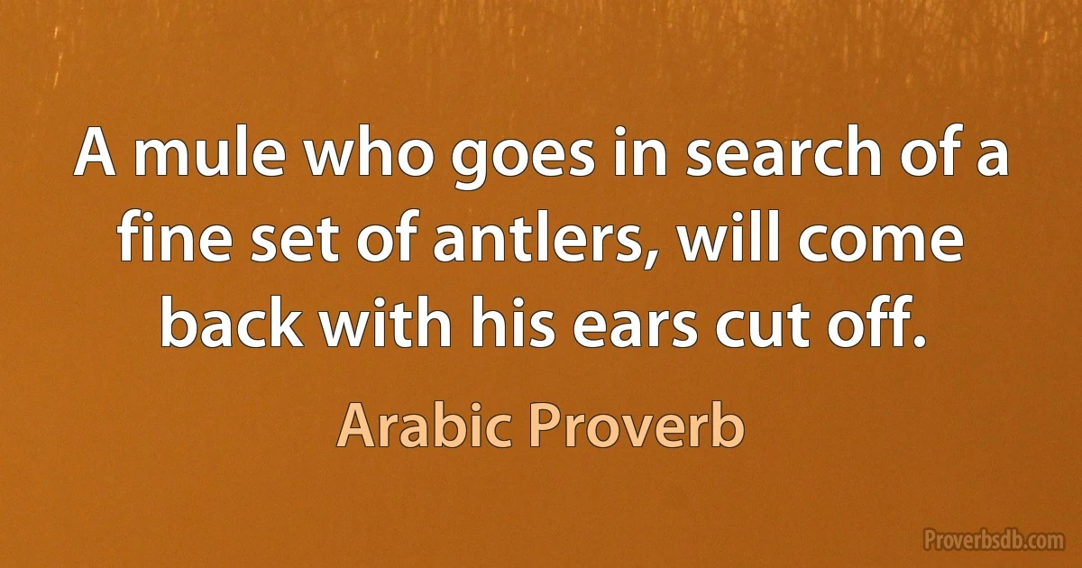 A mule who goes in search of a fine set of antlers, will come back with his ears cut off. (Arabic Proverb)