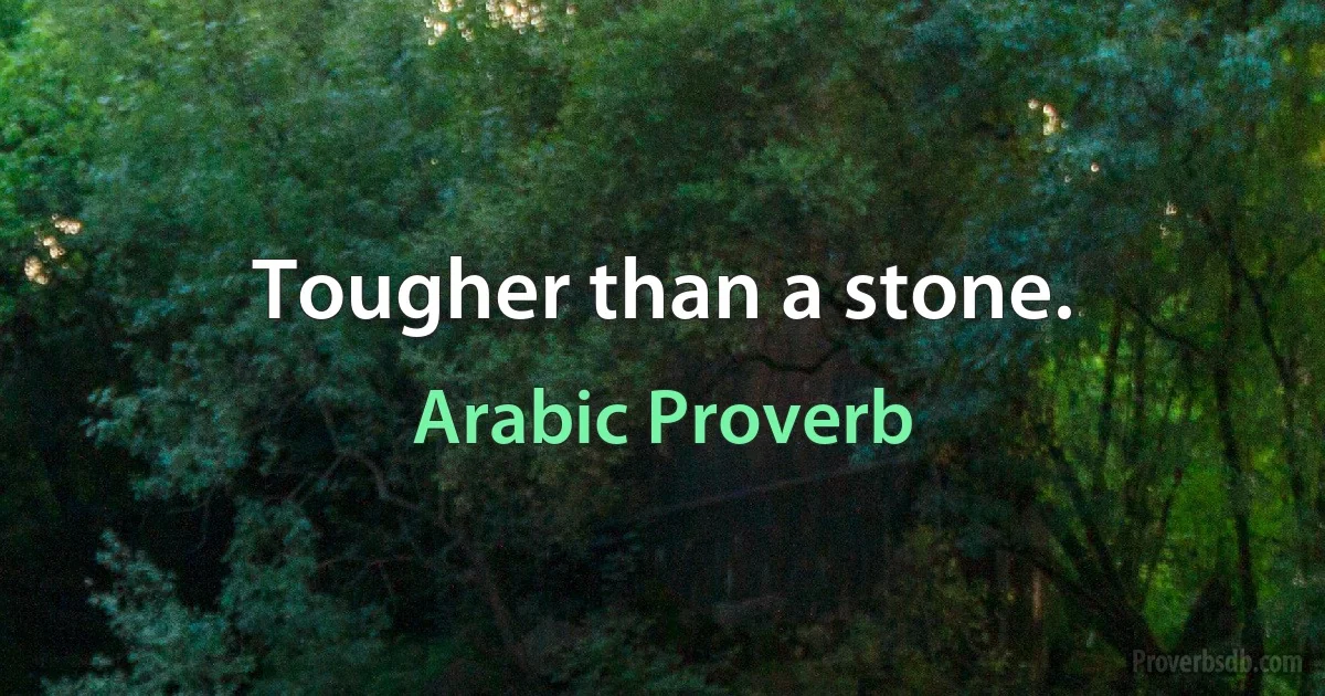 Tougher than a stone. (Arabic Proverb)