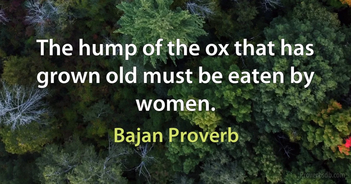 The hump of the ox that has grown old must be eaten by women. (Bajan Proverb)