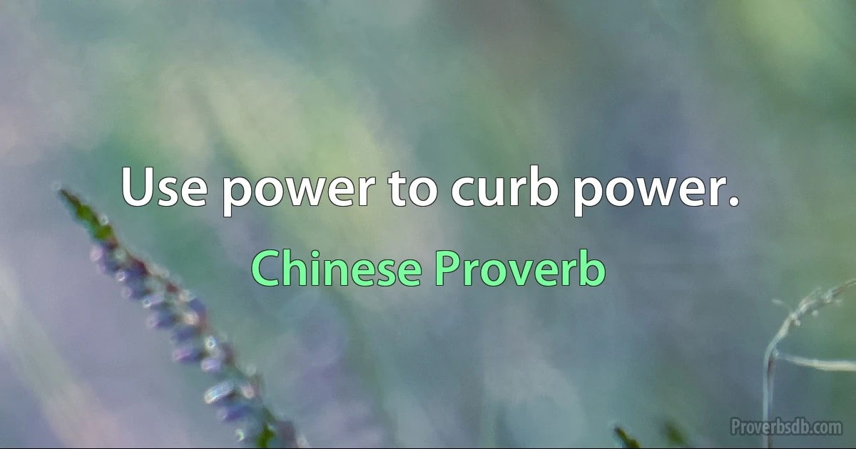 Use power to curb power. (Chinese Proverb)