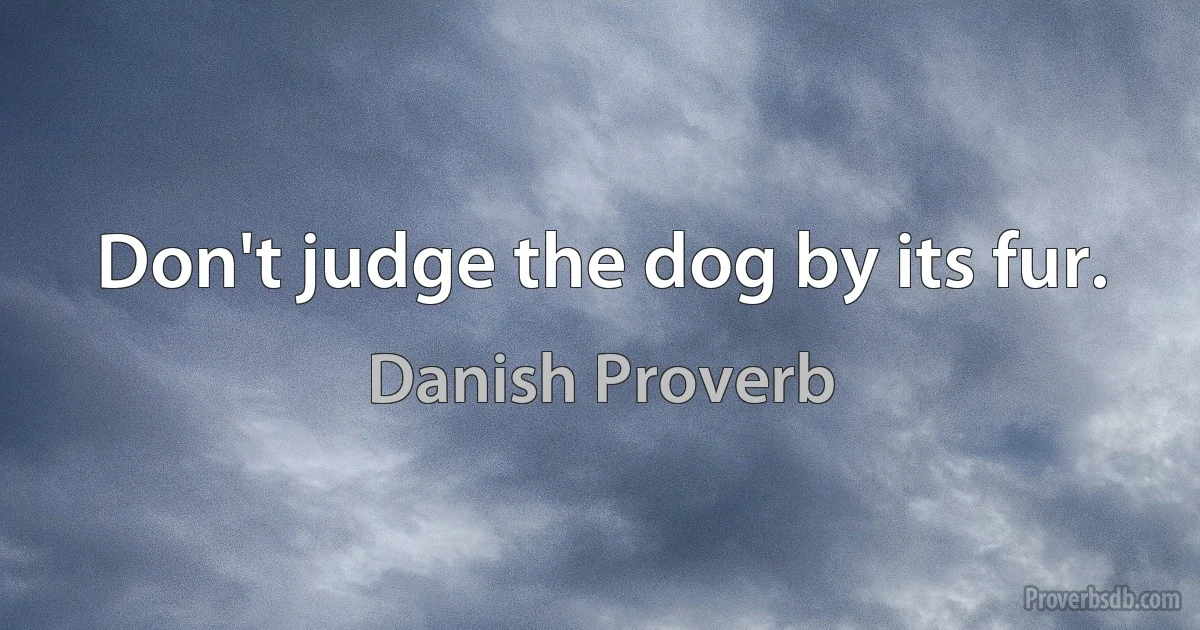 Don't judge the dog by its fur. (Danish Proverb)