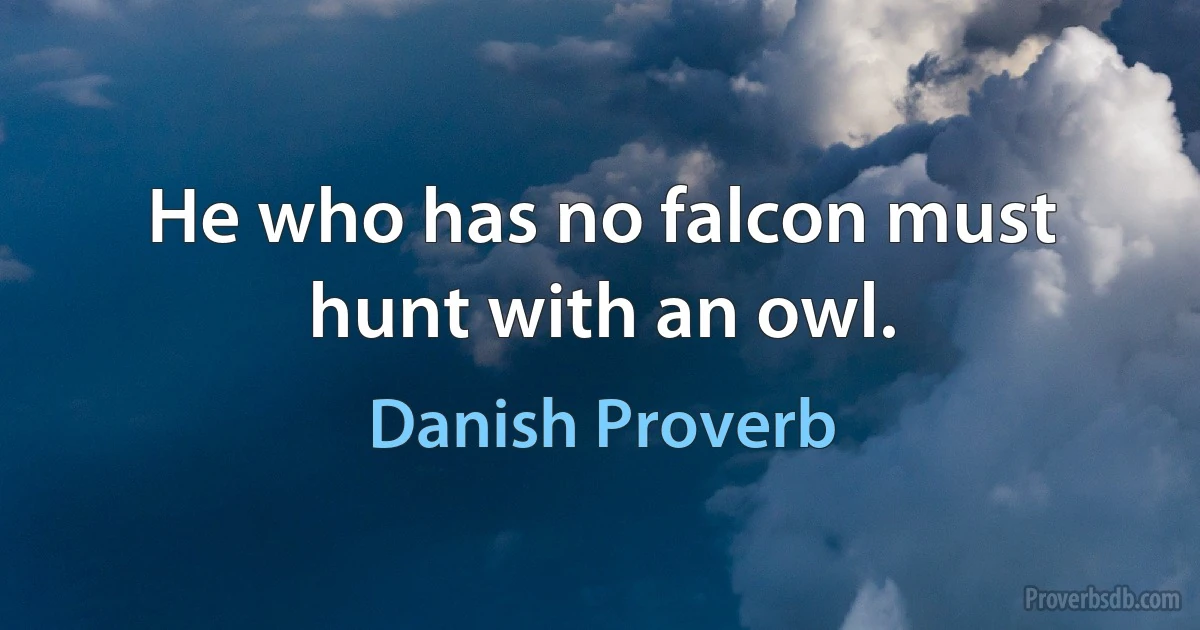 He who has no falcon must hunt with an owl. (Danish Proverb)