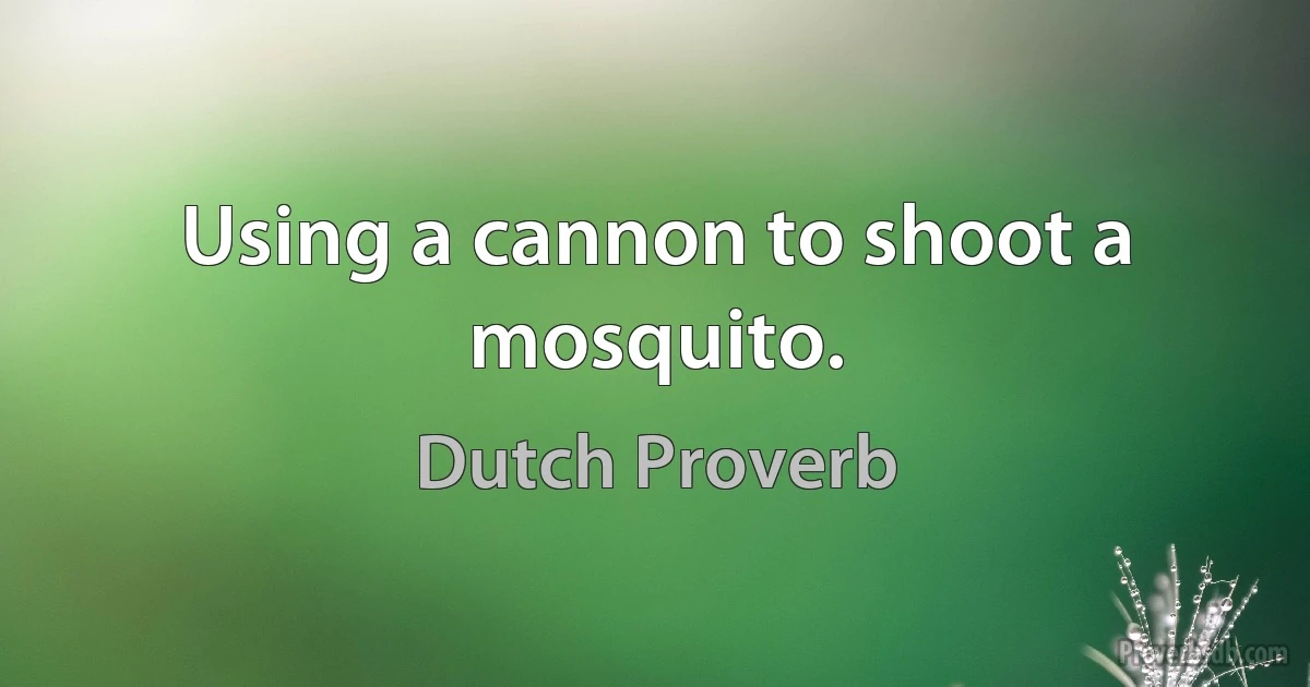 Using a cannon to shoot a mosquito. (Dutch Proverb)