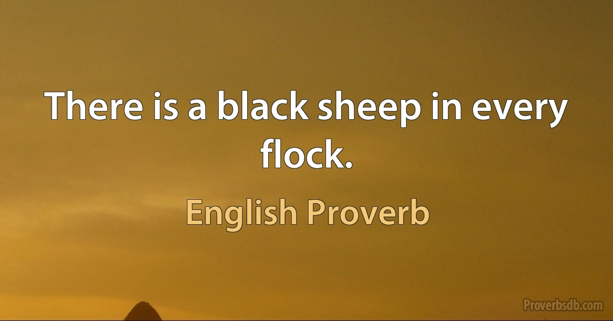 There is a black sheep in every flock. (English Proverb)