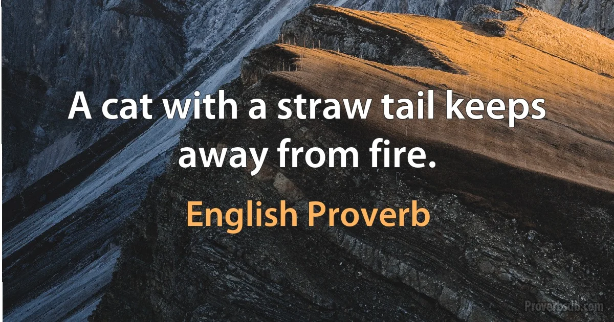 A cat with a straw tail keeps away from fire. (English Proverb)