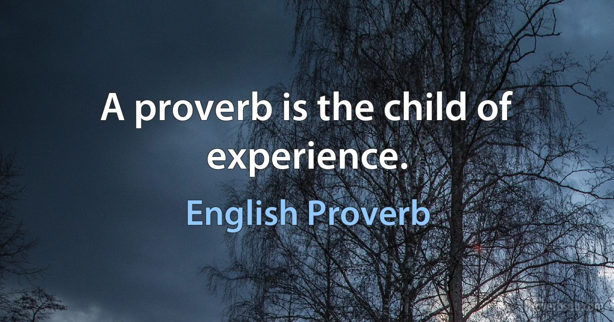 A proverb is the child of experience. (English Proverb)