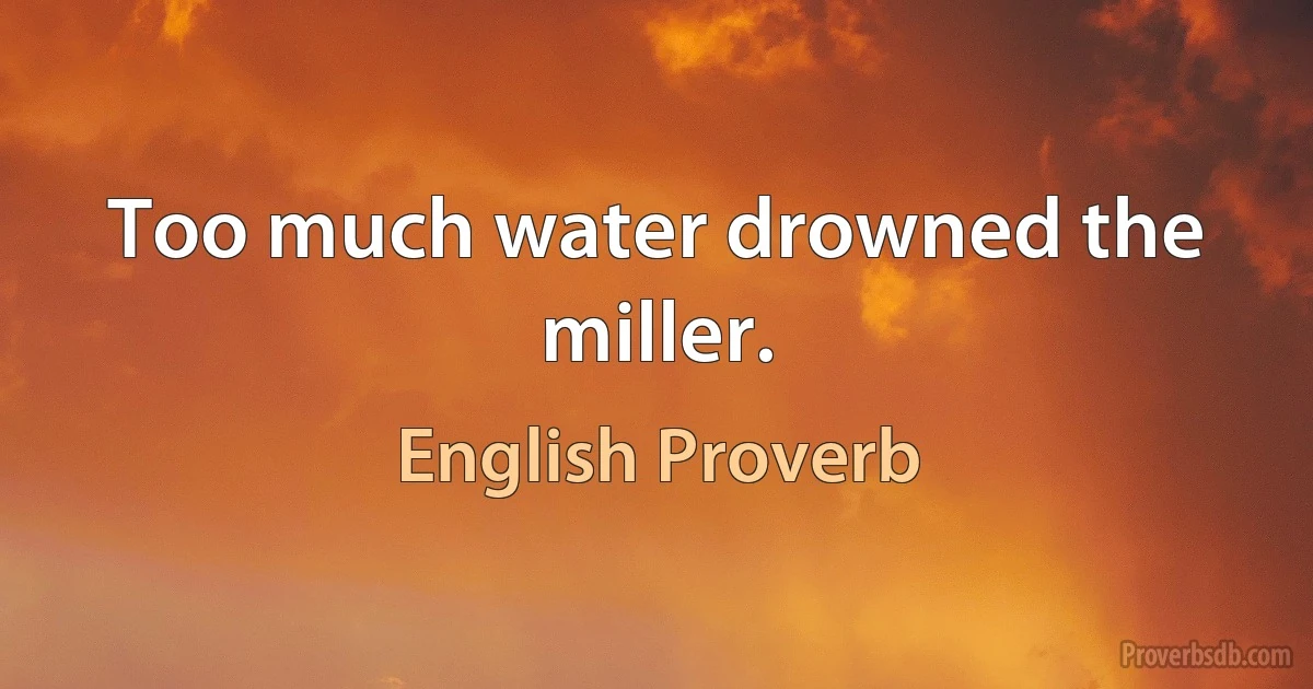 Too much water drowned the miller. (English Proverb)